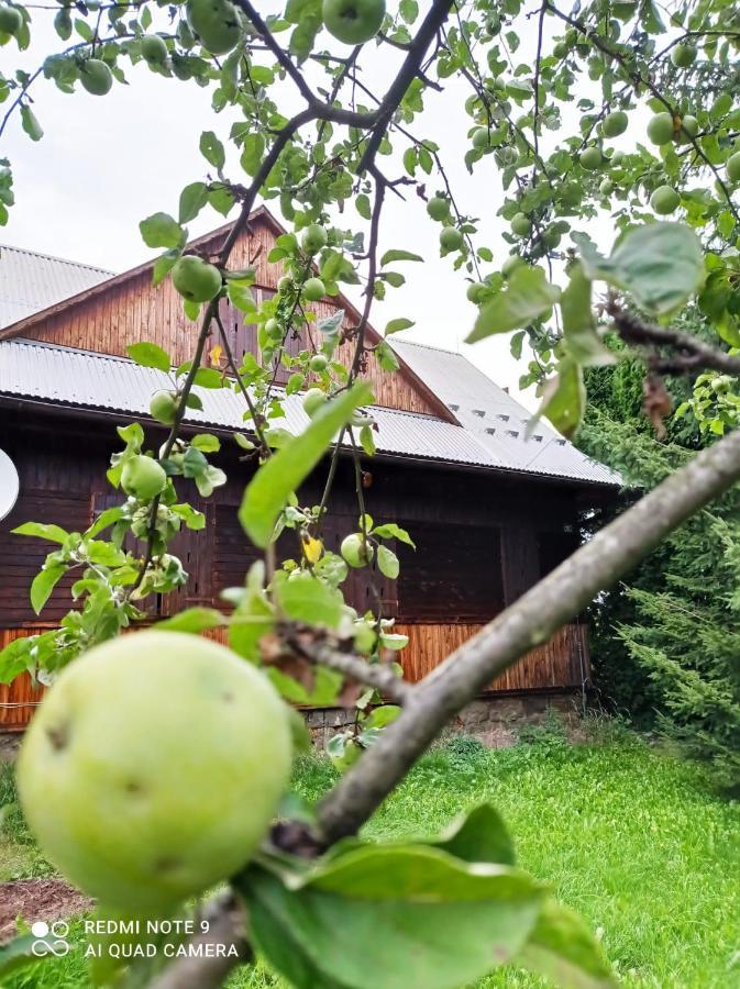 Gospodarstwo Agroturystyczne U Stasikow Spytkowice  Kültér fotó